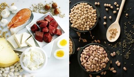 Ardillas de diferentes origen