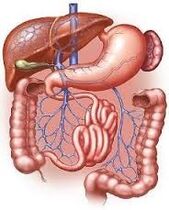 tracto gastrointestinal